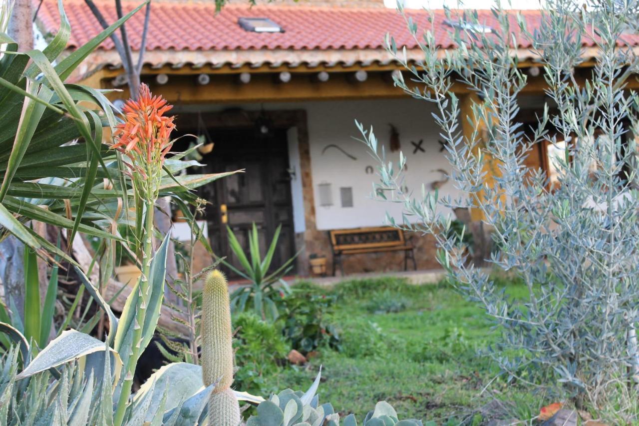 Casa Rural La Coscoja Mérida Kültér fotó