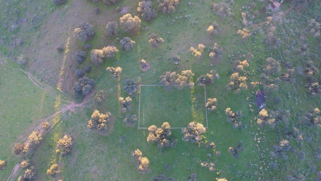 Casa Rural La Coscoja Mérida Kültér fotó