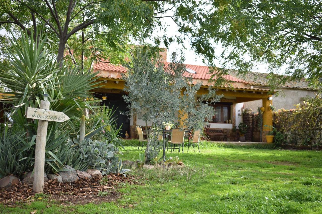 Casa Rural La Coscoja Mérida Kültér fotó